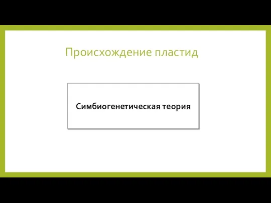 Происхождение пластид Симбиогенетическая теория