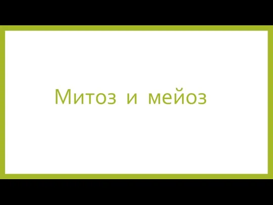 Митоз и мейоз