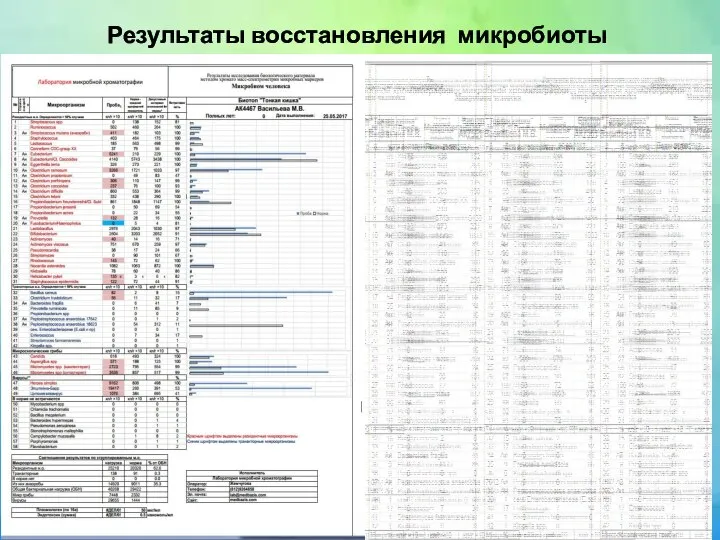 Результаты восстановления микробиоты