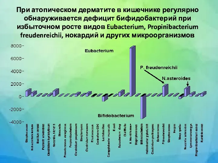 При атопическом дерматите в кишечнике регулярно обнаруживается дефицит бифидобактерий при избыточном