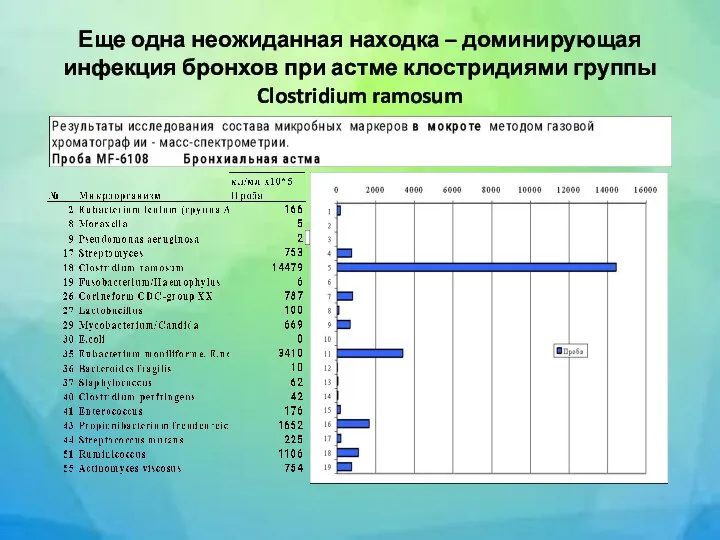 Еще одна неожиданная находка – доминирующая инфекция бронхов при астме клостридиями группы Clostridium ramosum