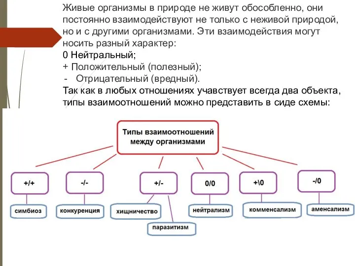 Живые организмы в природе не живут обособленно, они постоянно взаимодействуют не