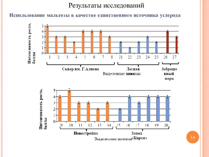 Использование мальтозы в качестве единственного источника углерода Результаты исследований