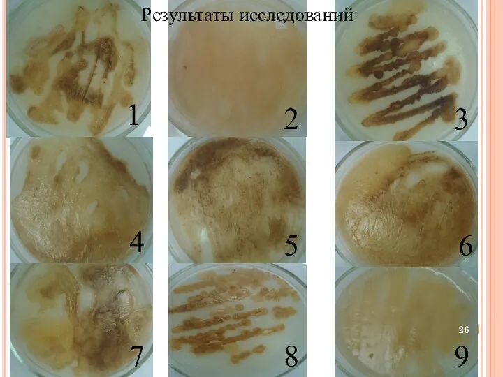 3 1 4 5 6 7 8 9 Результаты исследований 2