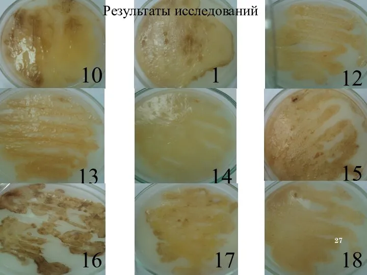 11 10 12 13 14 Результаты исследований 15 16 18 17