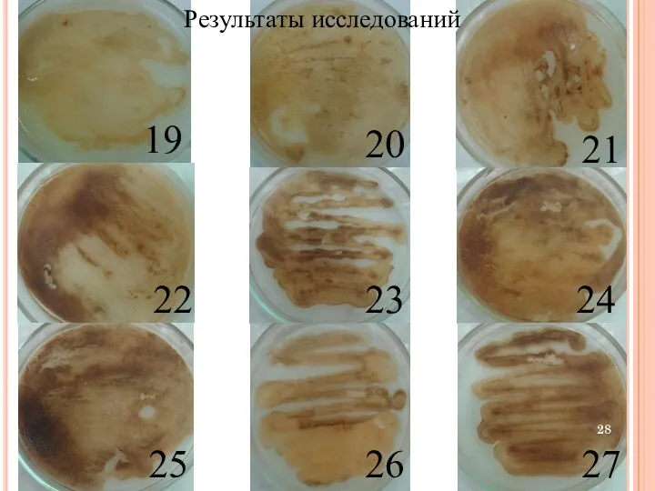 19 20 Результаты исследований 21 22 25 23 26 24 27