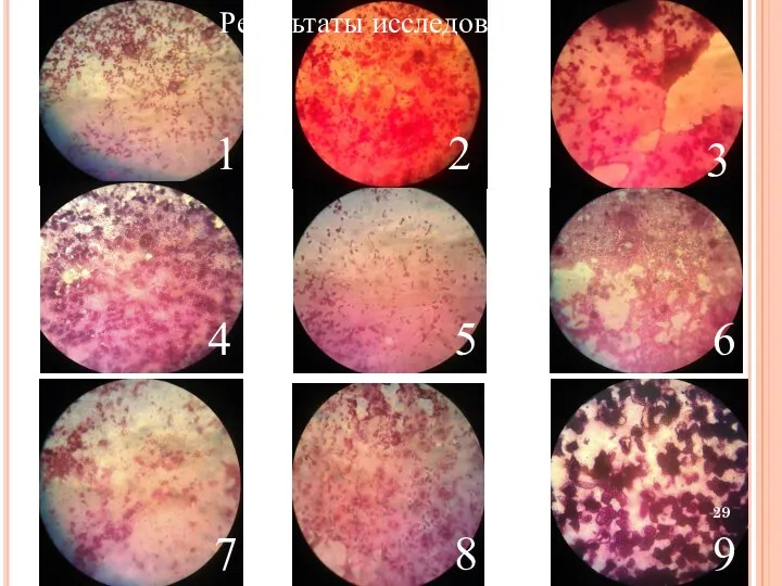 1 Результаты исследований 2 3 4 5 6 7 8 9