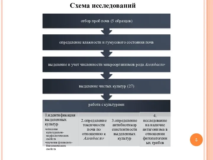 Схема исследований