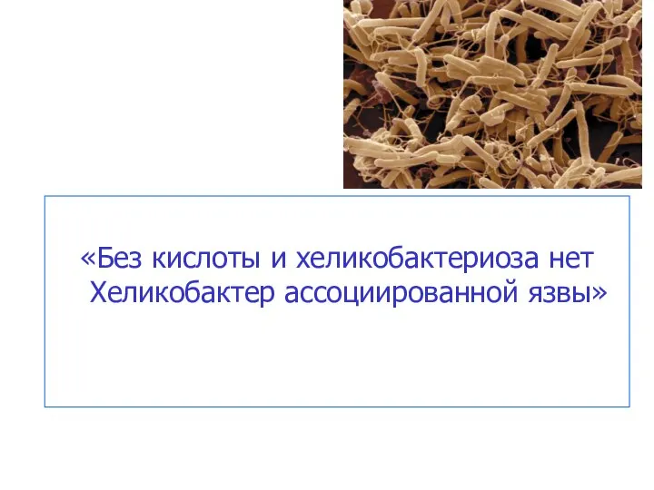 «Без кислоты и хеликобактериоза нет Хеликобактер ассоциированной язвы»