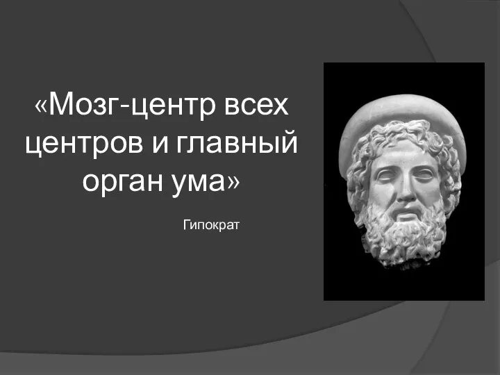 «Мозг-центр всех центров и главный орган ума» Гипократ