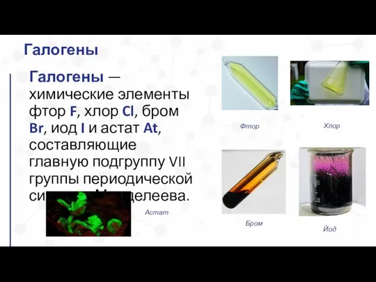 Галогены — химические элементы фтор F, хлор Cl, бром Br, иод