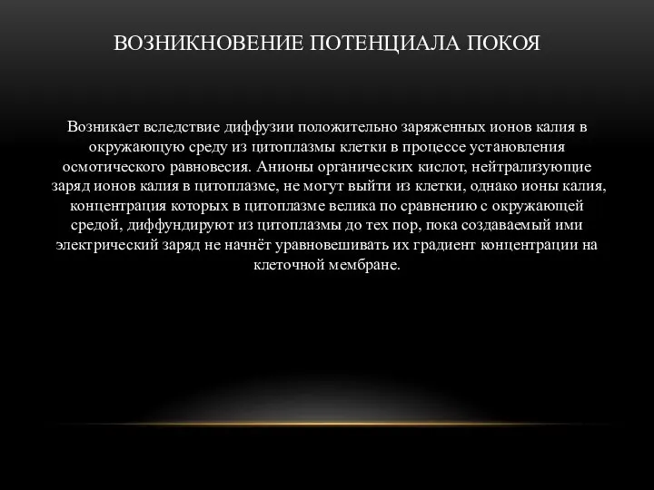 ВОЗНИКНОВЕНИЕ ПОТЕНЦИАЛА ПОКОЯ Возникает вследствие диффузии положительно заряженных ионов калия в