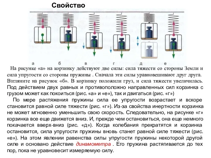 Свойство уравновешенных сил На рисунке «а» на корзинку действуют две силы: