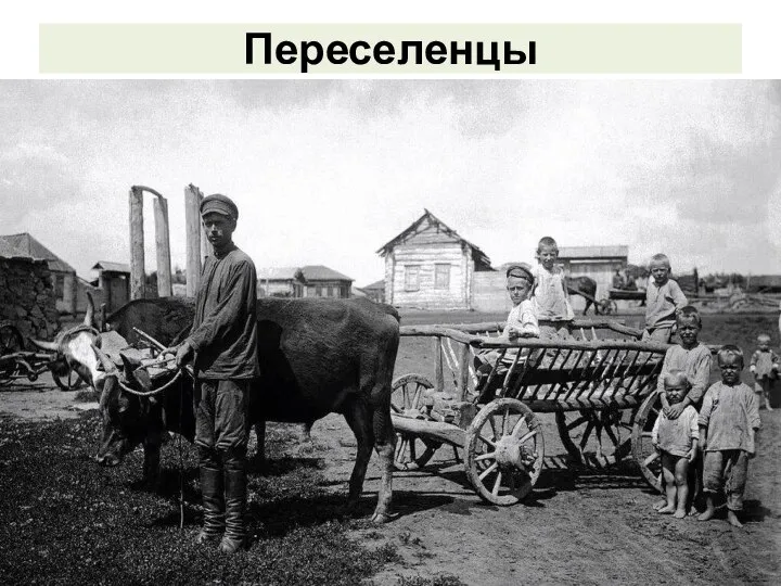 Переселенцы