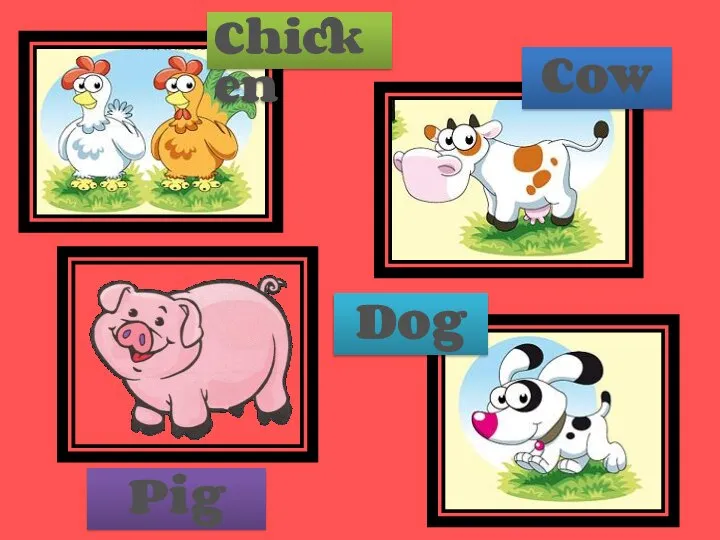 Dog Pig Chicken Cow