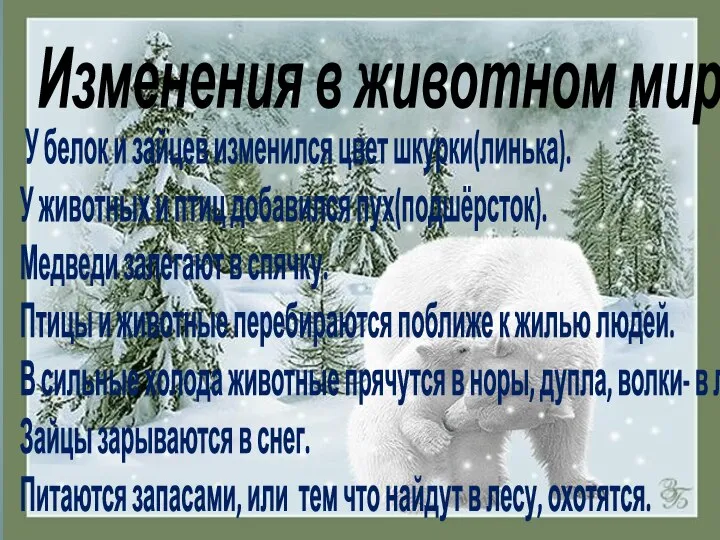 Изменения в животном мире: У белок и зайцев изменился цвет шкурки(линька).