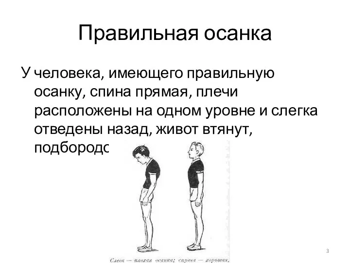 Правильная осанка У человека, имеющего правильную осанку, спина прямая, плечи расположены