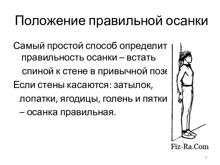 Положение правильной осанки Самый простой способ определить правильность осанки – встать