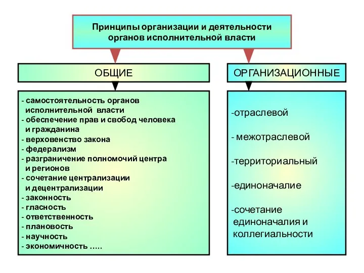 Принципы организации и деятельности органов исполнительной власти ОБЩИЕ ОРГАНИЗАЦИОННЫЕ - самостоятельность