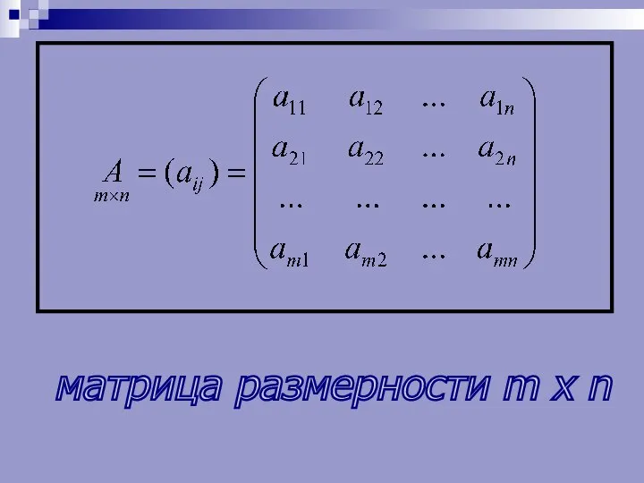 матрица размерности m x n