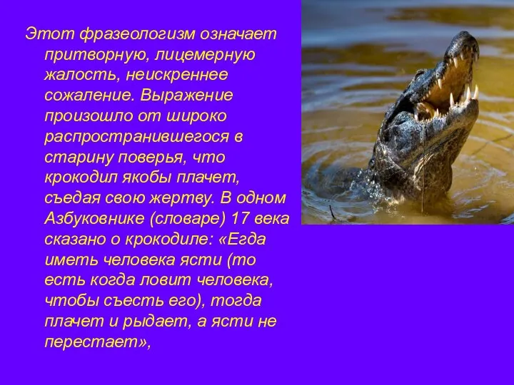 Этот фразеологизм означает притворную, лицемерную жалость, неискреннее сожаление. Выражение произошло от