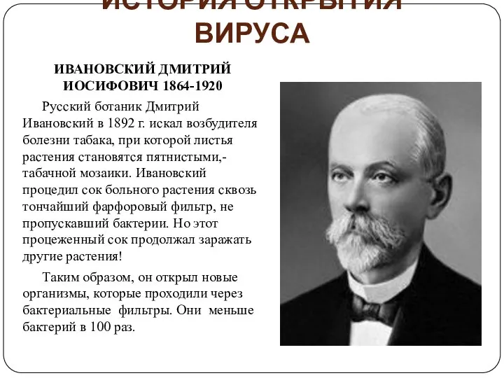 ИСТОРИЯ ОТКРЫТИЯ ВИРУСА ИВАНОВСКИЙ ДМИТРИЙ ИОСИФОВИЧ 1864-1920 Русский ботаник Дмитрий Ивановский