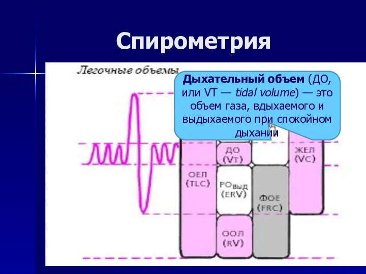 Спирометрия Дыхательный объем (ДО, или VT — tidal volume) — это