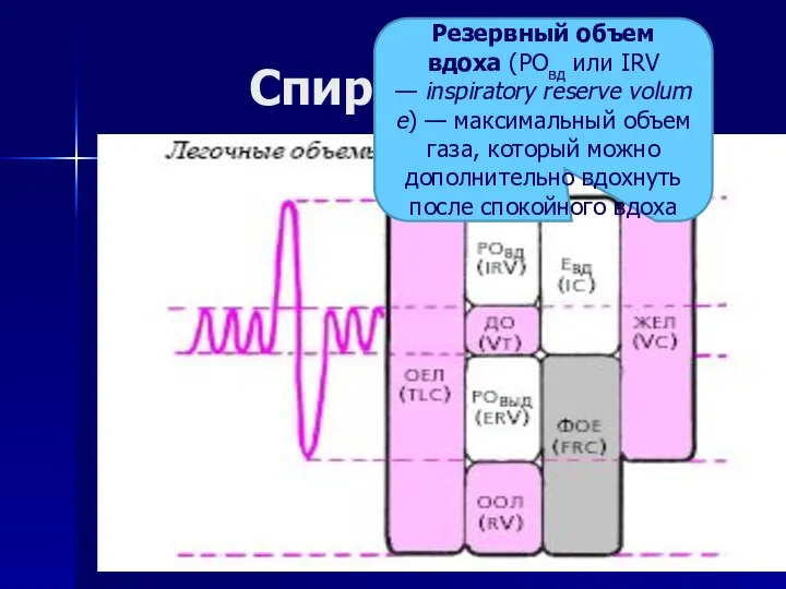 Спирометрия Резервный объем вдоха (РОвд или IRV — inspiratory reserve volume)