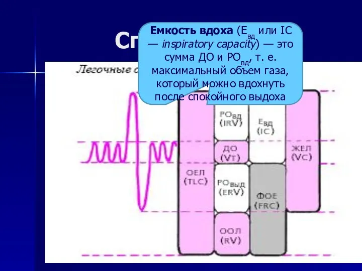 Спирометрия Емкость вдоха (Евд или IC — inspiratory capacity) — это