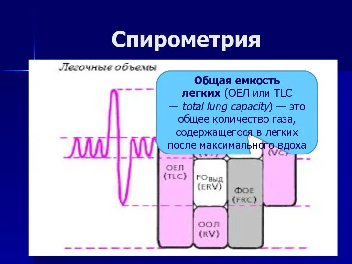 Спирометрия Общая емкость легких (ОЕЛ или TLC — total lung capacity)