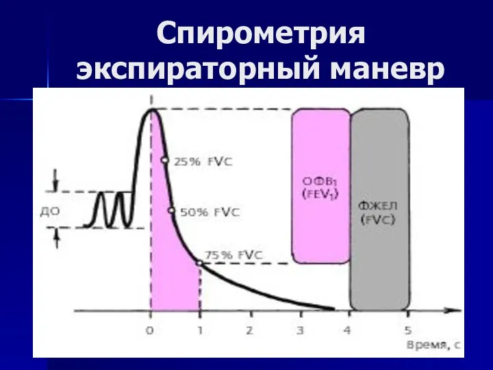 Спирометрия экспираторный маневр