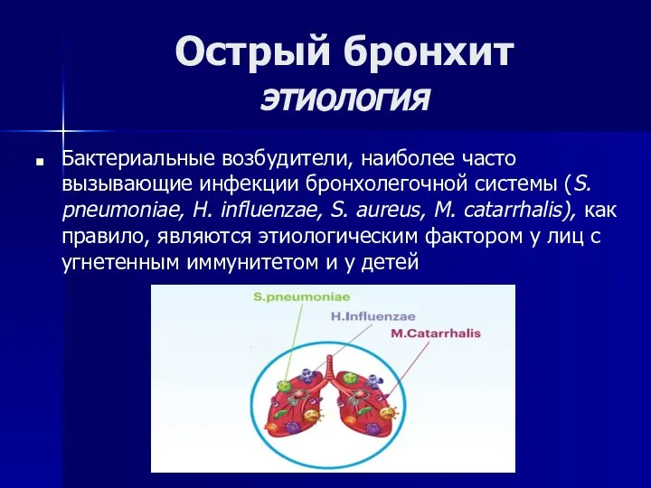 Острый бронхит этиология Бактериальные возбудители, наиболее часто вызывающие инфекции бронхолегочной системы