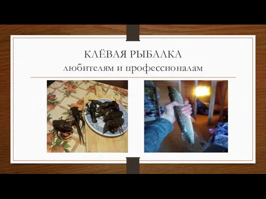 КЛЁВАЯ РЫБАЛКА любителям и профессионалам