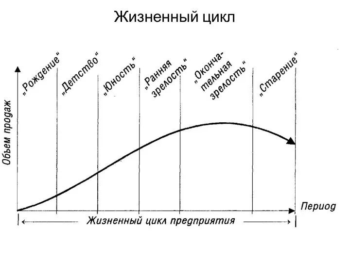 Жизненный цикл