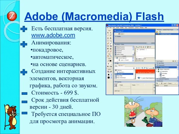 Adobe (Macromedia) Flash