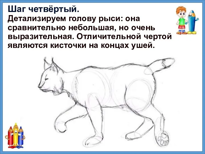 Шаг четвёртый. Детализируем голову рыси: она сравнительно небольшая, но очень выразительная.