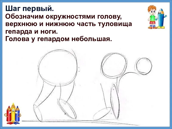 Шаг первый. Обозначим окружностями голову, верхнюю и нижнюю часть туловища гепарда