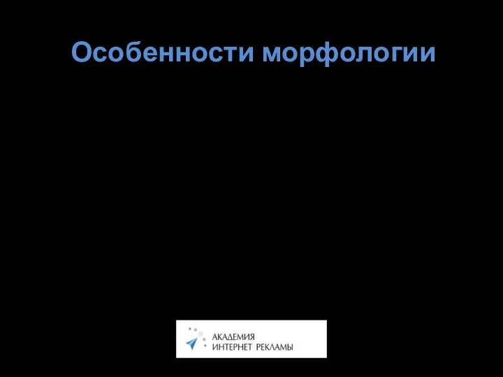 Особенности морфологии Морфология поисковых систем Лингвистическая обработка при индексировании. Словари. Служебные