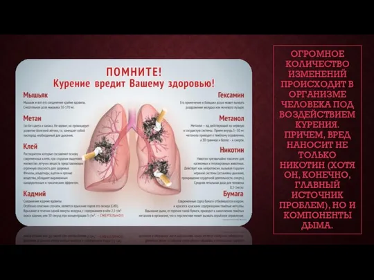 ОГРОМНОЕ КОЛИЧЕСТВО ИЗМЕНЕНИЙ ПРОИСХОДИТ В ОРГАНИЗМЕ ЧЕЛОВЕКА ПОД ВОЗДЕЙСТВИЕМ КУРЕНИЯ. ПРИЧЕМ,