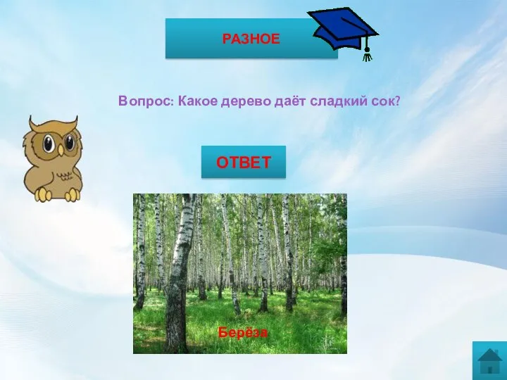 РАЗНОЕ Вопрос: Какое дерево даёт сладкий сок? ОТВЕТ Берёза