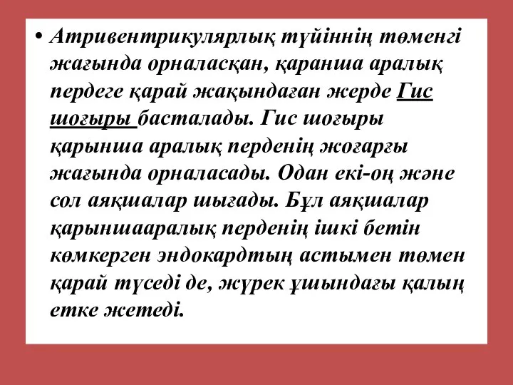 Атривентрикулярлық түйіннің төменгі жағында орналасқан, қаранша аралық пердеге қарай жақындаған жерде