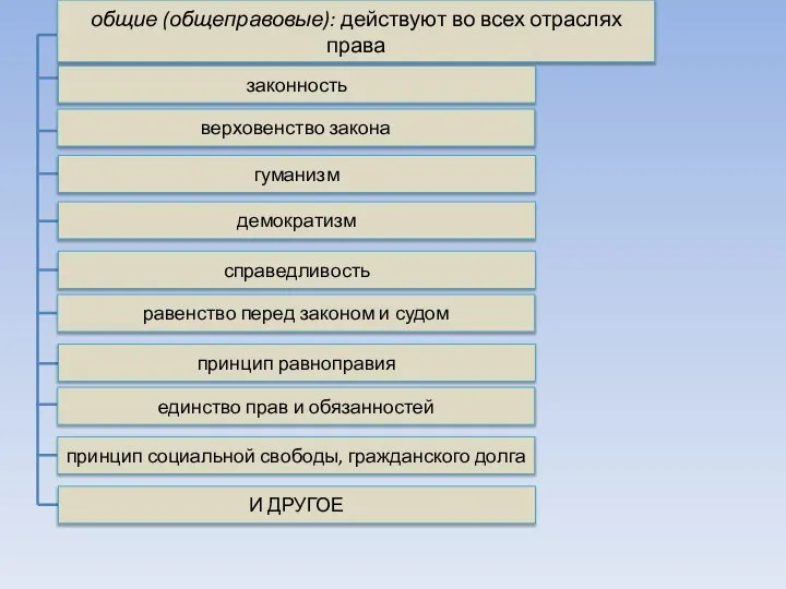 законность верховенство закона гуманизм демократизм справедливость равенство перед законом и судом