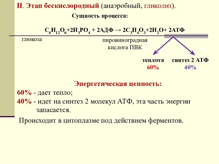 II. Этап бескислородный (анаэробный, гликолиз). С6Н12О6+2Н3РО4 + 2АДФ → 2С3Н4О3+2Н2О+ 2АТФ