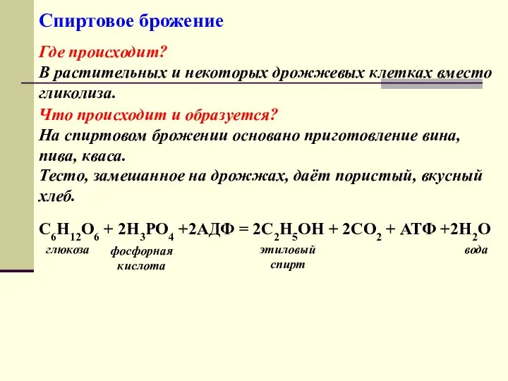 Спиртовое брожение С6Н12О6 + 2Н3РО4 +2АДФ = 2С2Н5ОH + 2CO2 +