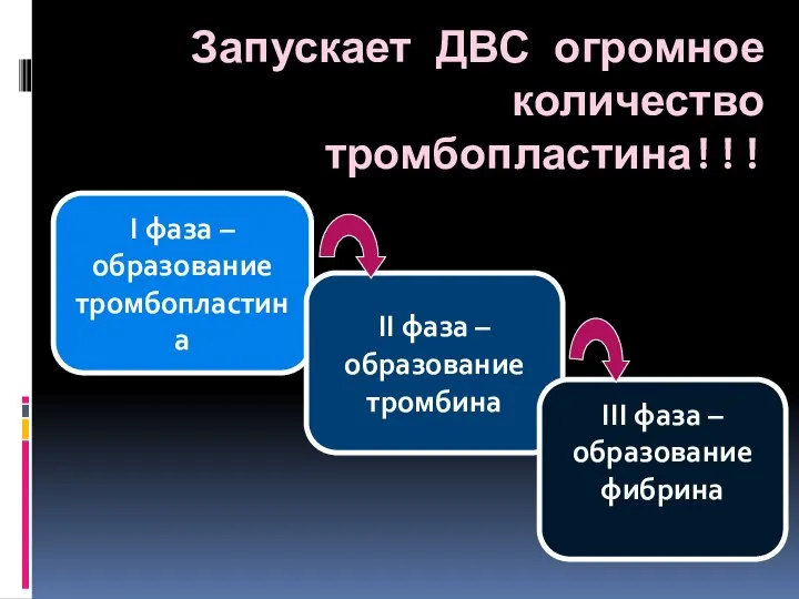 Запускает ДВС огромное количество тромбопластина!!! I фаза – образование тромбопластина II