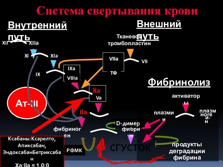 Ат-III IX IXa VIIIa X Xa Va II IIa VII Тканевой