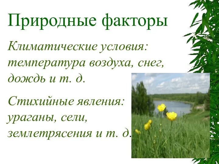 Природные факторы Климатические условия: температура воздуха, снег, дождь и т. д.