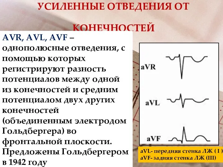 УСИЛЕННЫЕ ОТВЕДЕНИЯ ОТ КОНЕЧНОСТЕЙ АVR, АVL, АVF – однополюсные отведения, с