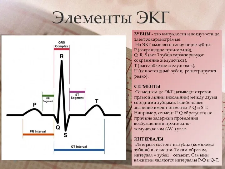 Элементы ЭКГ ЗУБЦЫ - это выпуклости и вогнутости на электрокардиограмме. На