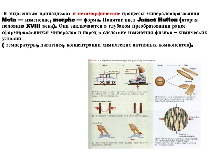 К эндогенным принадлежат и метаморфические процессы минералообразования Meta — изменение, morphe